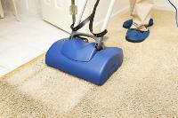 ABC Rug & Carpet Cleaning Belair image 2